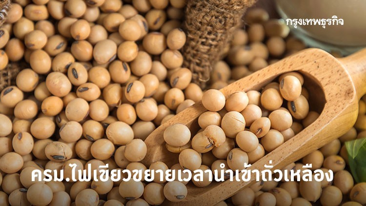  ครม.ไฟเขียวขยายระยะเวลานำเข้าถั่วเหลือง