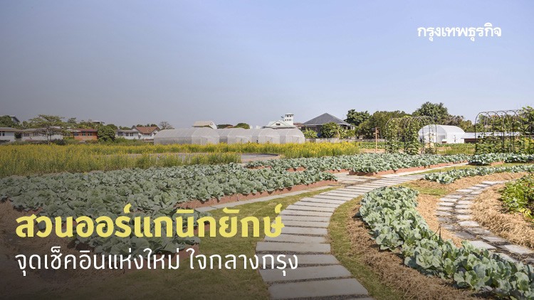 เที่ยวสวนผักกลางกรุง จุดเช็คอินใหม่! sansiri backyard @T77 Community