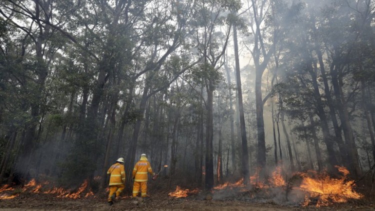 รัฐนิวเซาท์เวลส์ทุ่ม 1 พันล้านดอลล์ฟื้นวิกฤติไฟป่า