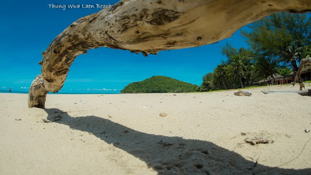 ก้าวที่กล้า  ‘ชุมพร คาบาน่า’