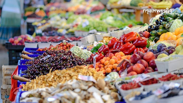 สศก.ชี้ค่าเงินบาทแข็ง ฉุดราคาสินค้าเกษตรร่วง
