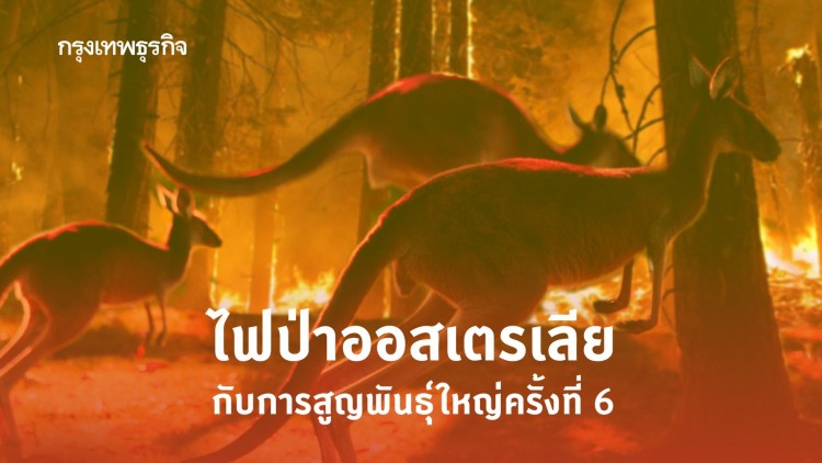 ไฟป่าออสเตรเลีย กับการสูญพันธุ์ใหญ่ครั้งที่ 6