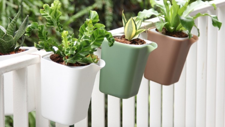 'กระถาง' รักต้นไม้จากพลาสติก PET