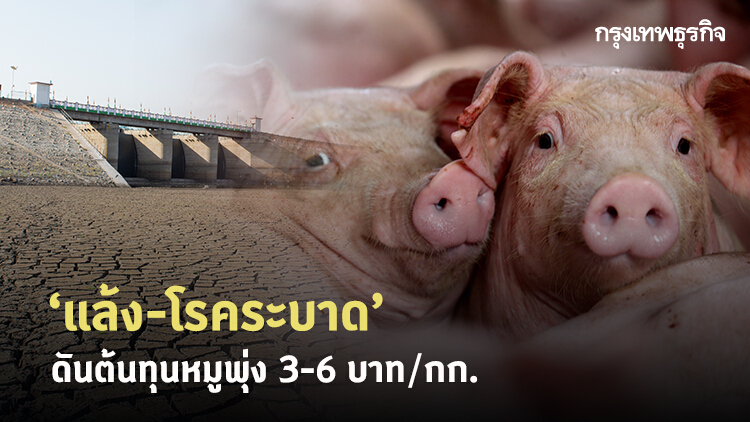 เกษตรกรโอดแล้ง-โรคระบาด ทำต้นทุนเพิ่ม กก.ละ 3-6 บาท