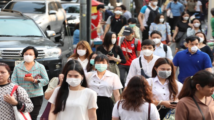 หอการค้า ชงแพคเกจจูงใจ เอกชนลดฝุ่น-เพิ่มพื้นที่ป่า