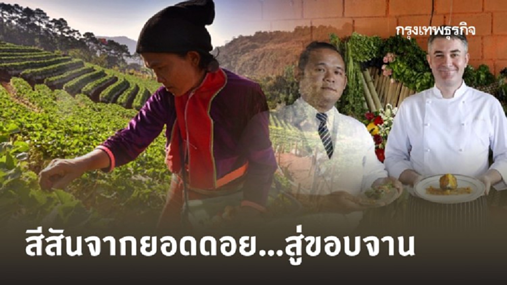 สีสันจากยอดดอย...สู่ขอบจาน