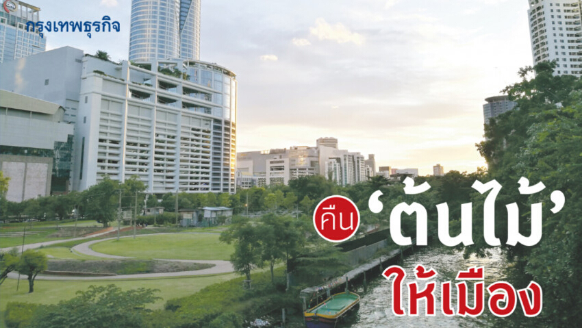 คืน ‘ต้นไม้’ ให้เมือง