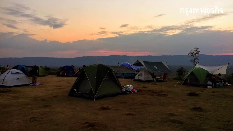 เตือนนทท.เข้าป่ากางเต็นท์ เสี่ยงป่วยด้วยโรคไข้รากสาดใหญ่