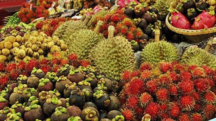 สศก.ชี้ส่งออกผลไม้สะดุดโคโรนา ชวนกินช่วยเกษตรกร