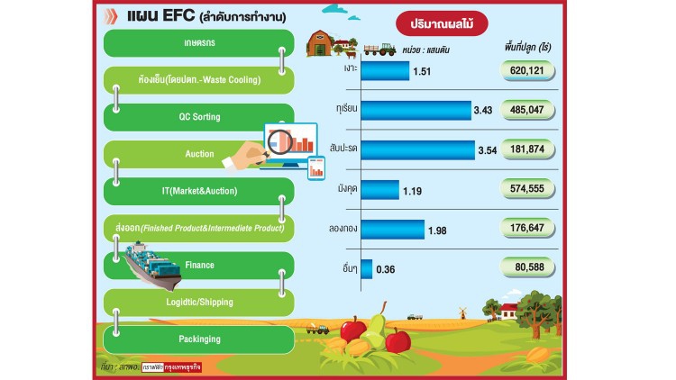 ยุทธศาสตร์ผลไม้ตะวันออก