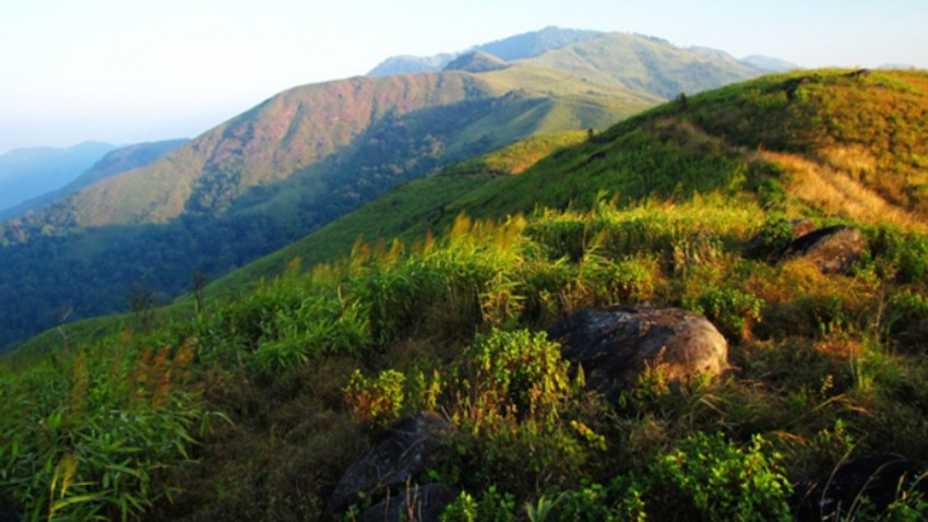 ดื่มด่ำธรรมชาติ บนเส้นทางสาย 1175