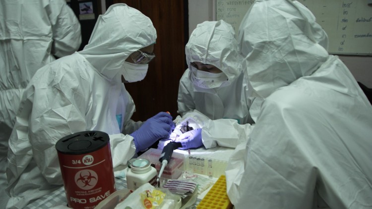 Active surveillance, เฝ้าระวังโรคอุบัติใหม่จากสัตว์(ป่า)สู่คนเชิงรุก