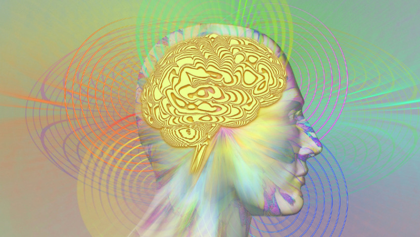 นำชัย ชีววิวรรธน์ : 'พลังกึ๋น'ในมุมวิทยาศาสตร์