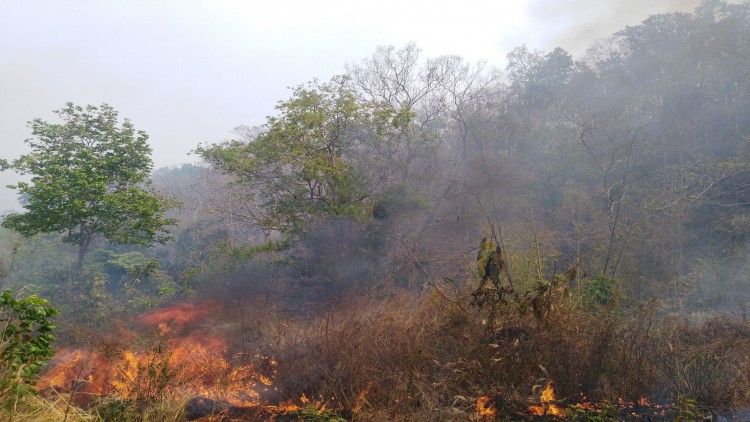 แม่ฮ่องสอน เจอหมอกควันหนัก ต้องยกเลิกเที่ยวบิน