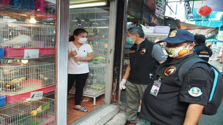เหยี่ยวดง ลงพื้นที่จตุจักร สุ่มตรวจหาเชื้อในสัตว์กัน ‘โควิด’