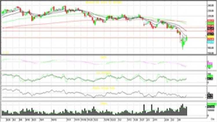 "Technical" Insight (19 มี.ค.63)