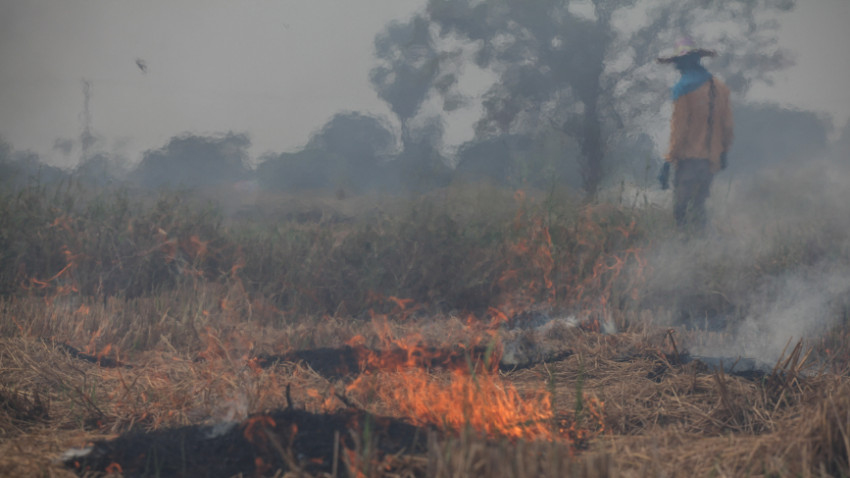 หมอกควันพิษเชียงใหม่   ความสิ้นหวังเป็นแบบนี้เอง