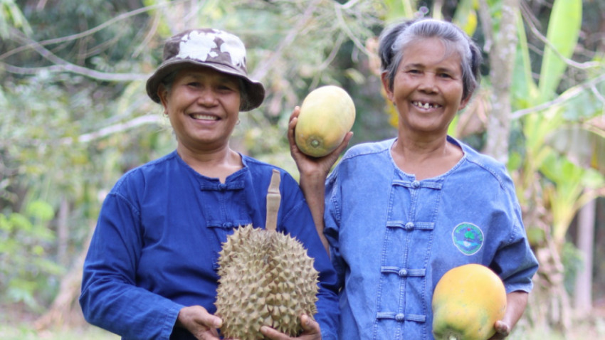 สามพรานโมเดล ช่วยเกษตรกรอินทรีย์ฝ่าวิกฤต COVID-19