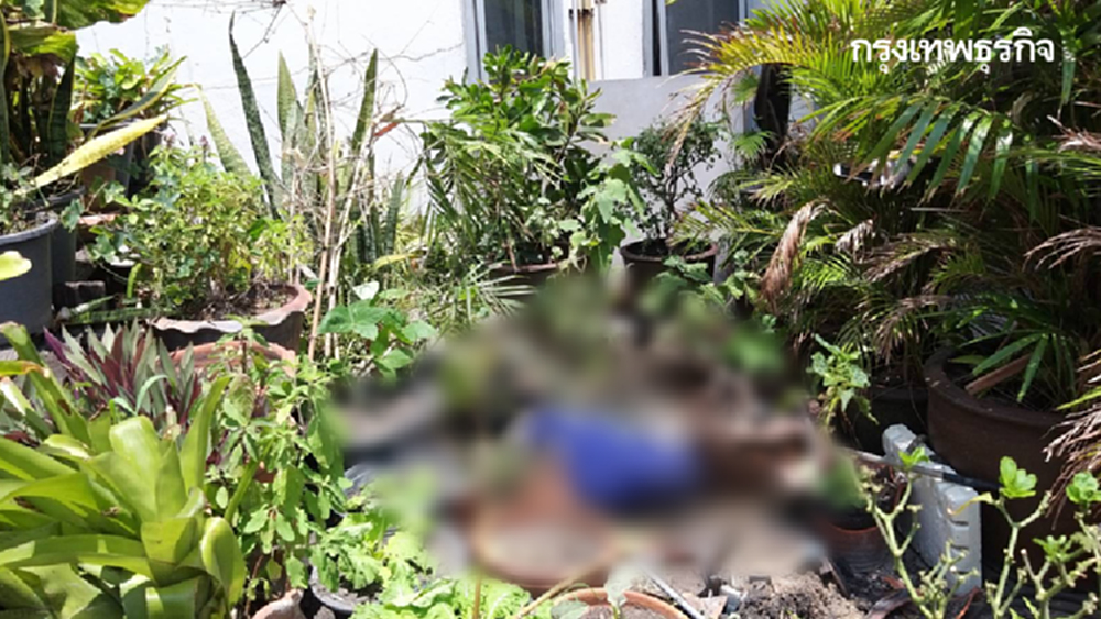 ครูสอนพิเศษชาวอังกฤษ เครียดไม่มีงานทำ กระโดดแมนชั่นดับย่านอินทามระ