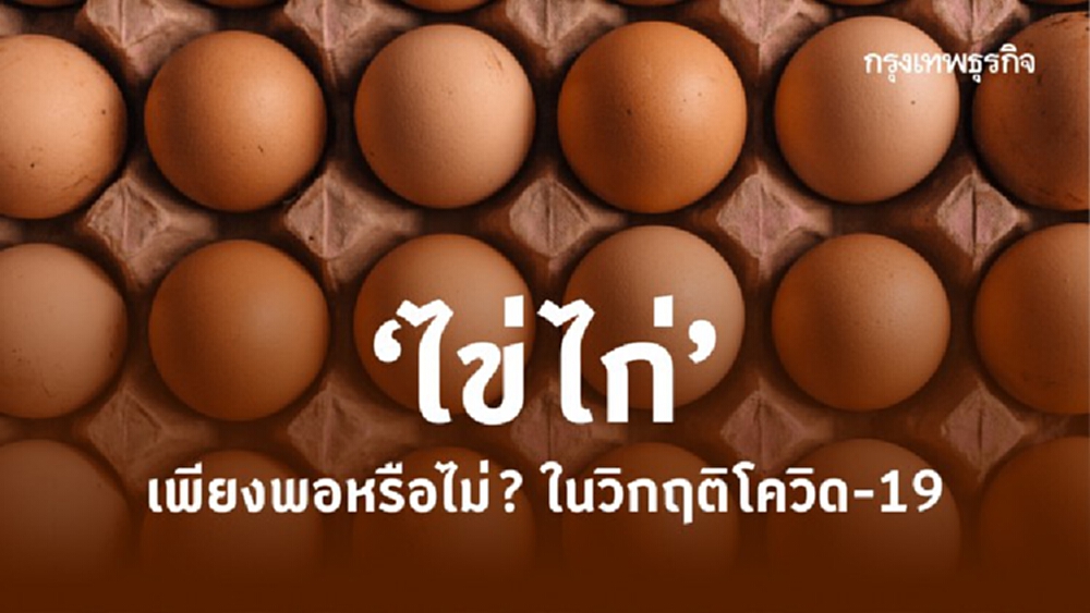 ‘ไข่ไก่’ เพียงพอหรือไม่? ในวิกฤติ 'โควิด-19'