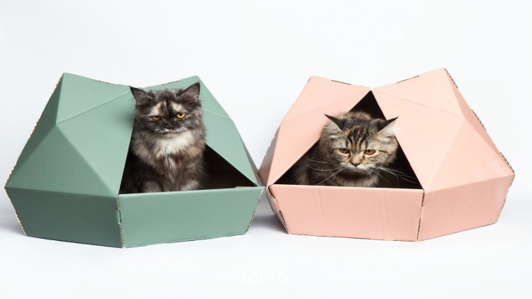 บ้านแมวรักษ์โลก...เพื่อทาสแมว