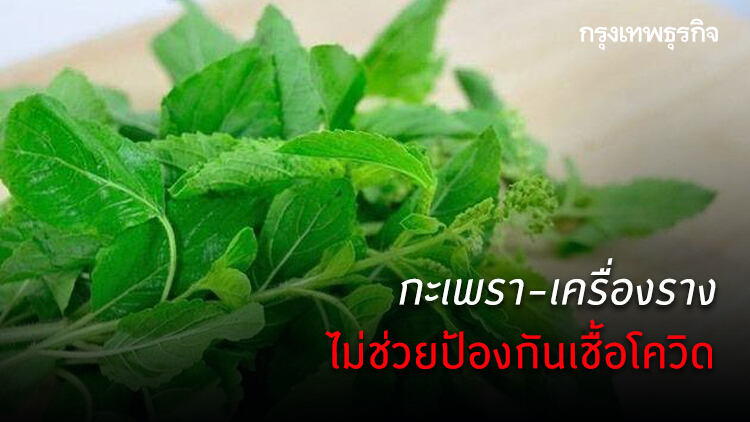 กะเพรา-เครื่องราง ไม่ช่วยป้องกันเชื้อโควิด