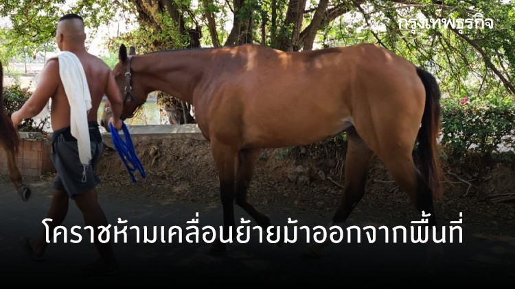 ปศุสัตว์โคราชบล็อก 5 จุด ห้ามเคลื่อนย้ายม้าออกจากพื้นที่