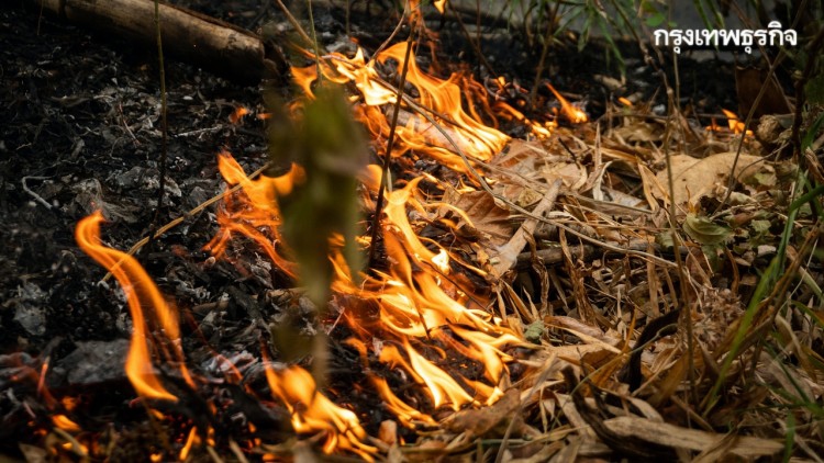 ไม่หยุดเผา! มือมืดลักลอบแอบเผาดอยสุเทพ 4 จุดพร้อมกัน