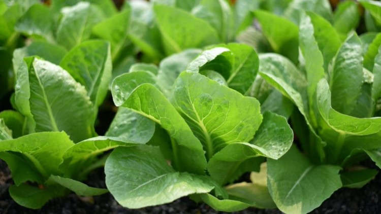 WFH แบบกรีนๆ I Circular Eco.