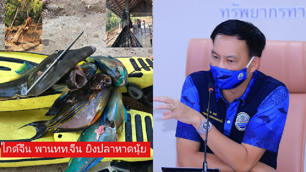 ที่ปรึกษา รมว. ทส. สั่งจัดการนักท่องเที่ยว ล่าปลาสวยงามที่ภูเก็ต