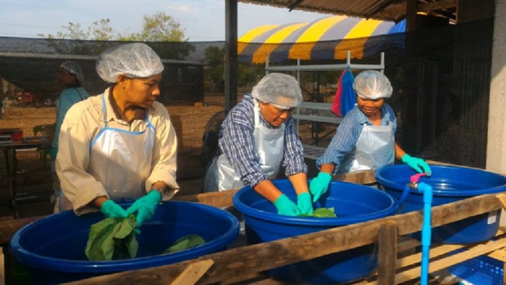 กสศ.ผุด74หลักสูตรอุ้มคนตกงาน "สร้างรายได้-ลดเหลื่อมล้ำ"