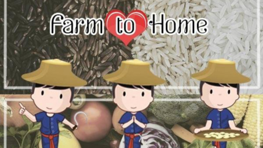 ‘Farm To Home’ อยู่บ้านก็กินผักปลอดสารได้