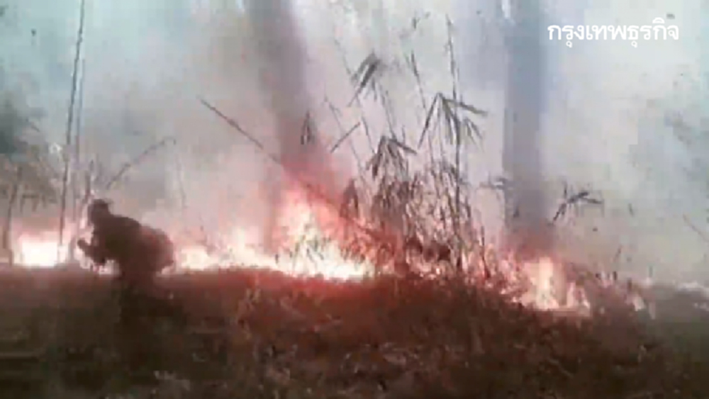 ไฟป่าชายแดนตาก ฮอตสปอตกว่า 200 จุด