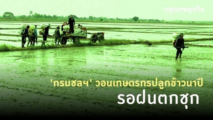 'กรมชลฯ' วอนเกษตรกรปลูกข้าวนาปีรอฝนตกชุก