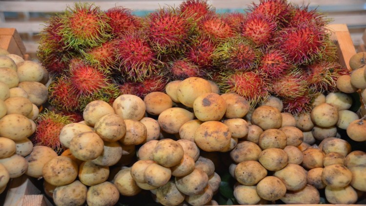 “จุรินทร์”ตั้ง 6 ผู้ตรวจพาณิชย์เป็นมิสเตอร์ และมิสผลไม้ ขับเคลื่อนผลไม้ 9 ชนิด