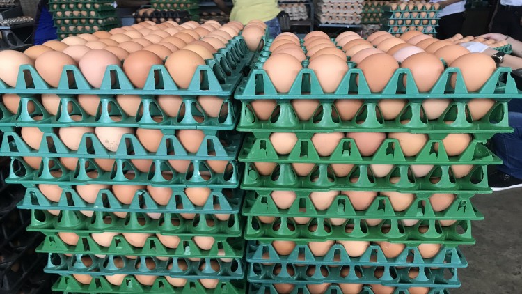 พาณิชย์เร่งส่งไข่ไก่ไป 3 จังหวัดชายแดนใต้หลังเกิดปัญหาขาดแคลน