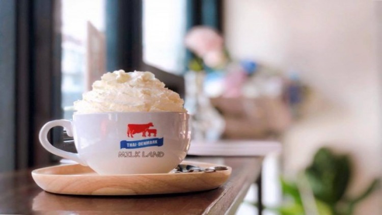 อ.ส.ค.เร่งปรับแผนธุรกิจ ‘Thai-Denmark Milk Land’ ดึงมืออาชีพบริหารแฟรนไชส์