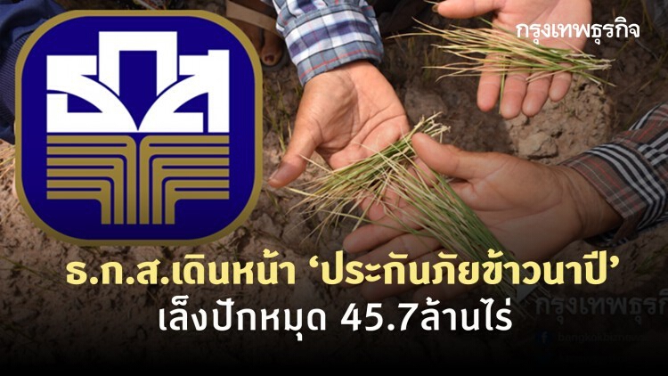 ธ.ก.ส.เดินหน้า ‘ประกันภัยข้าวนาปี’ เล็งปักหมุด 45.7ล้านไร่