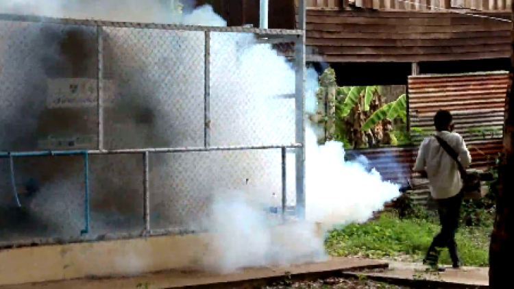 ไข้เลือดออกระบาดโคราช หนักป่วย 700 ตายแล้ว 1 ราย