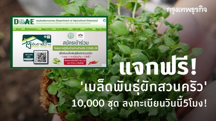 ลงทะเบียน 'ตู้เย็นข้างบ้าน' รับฟรี! เมล็ดพันธุ์ผักสวนครัว จาก 'กรมส่งเสริมการเกษตร'