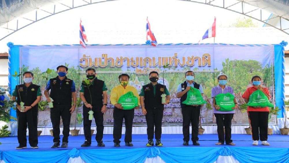 'วันป่าชายเลนแห่งชาติ' จัดเรียบง่าย ส่งเสริมการมีส่วนร่วมอนุรักษ์ฟื้นฟูป่า