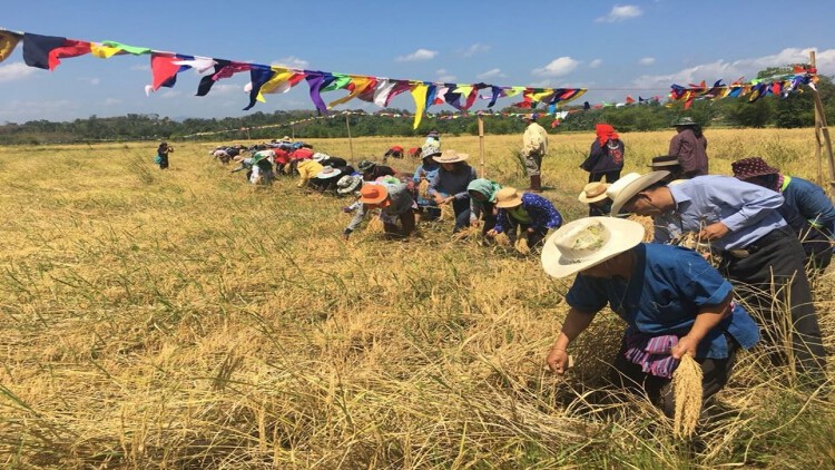 สศก.ตั้ง 'ศูนย์รับอุทธรณ์ฯ' ช่วยเกษตรกรไม่ได้รับสิทธิ