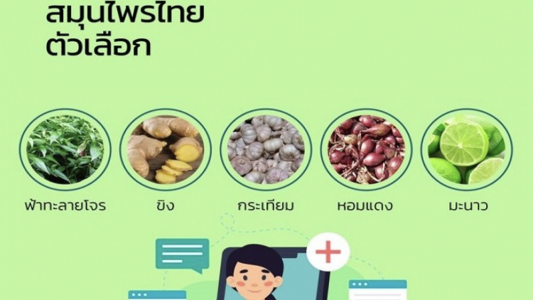 ชี้ 'สมุนไพรไทย' ที่ใช้รักษาหวัด มีโอกาสโตสูง หลังการแพร่ระบาดของโควิด-19
