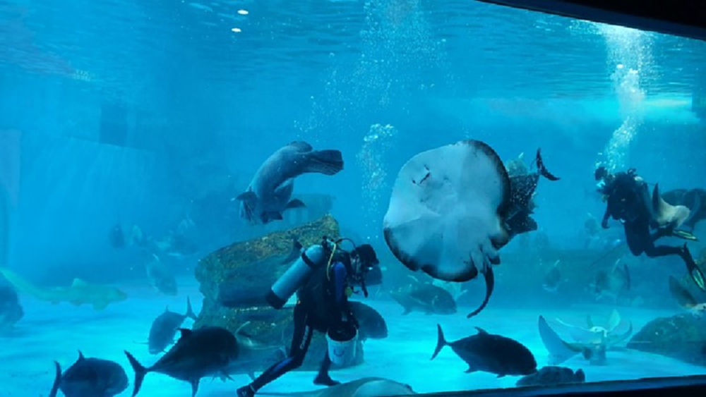 ภาพยนตร์บอกเล่า...ให้คุ้มครองโลก (1)