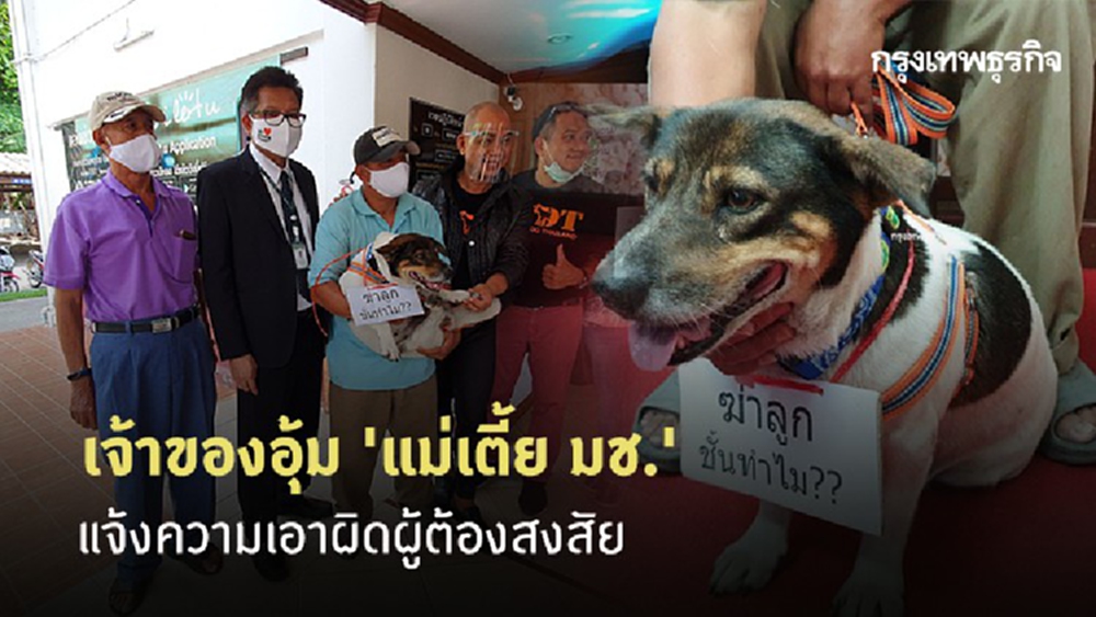 เจ้าของอุ้ม 'แม่เตี้ย มช.' แจ้งความเอาผิดผู้ต้องสงสัย พร้อมดำเนินการถึงที่สุด 