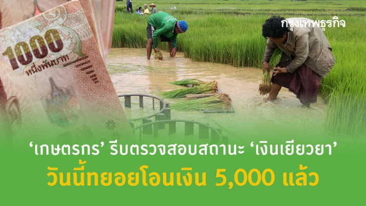 ‘www.เยียวยาเกษตรกร.com’ ตรวจสอบสถานะวันนี้ ‘เกษตรกร’ ทยอยรับเงิน 5 พัน แล้ว!