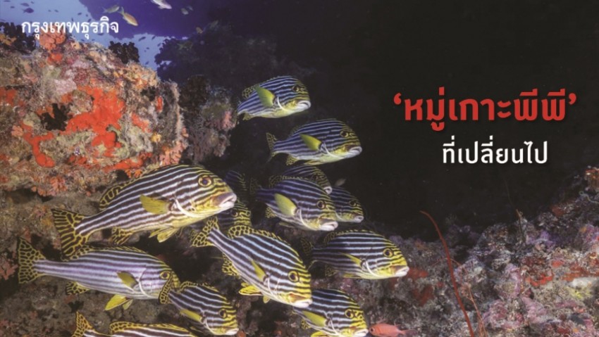 'หมู่เกาะพีพี’ ที่เปลี่ยนไป เมื่อปล่อยให้ธรรมชาติฟื้นตัว