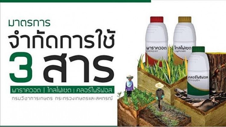 เครือข่ายหนุนใช้สารเคมีเกษตร ยื่นศาลปกครองขอความคุ้มครองชั่วคราวจากการแบนพาราควอต