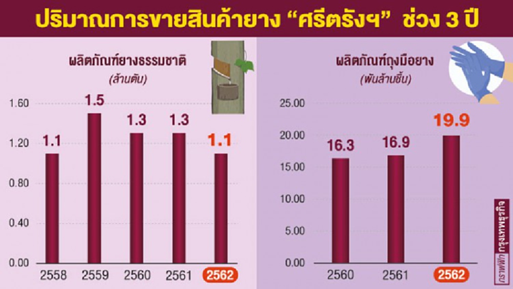 ‘ศรีตรัง ฯ’ ราคาพุ่งรอบ 3 ปี    จุดพลุหนุนธุรกิจถุงมือยาง