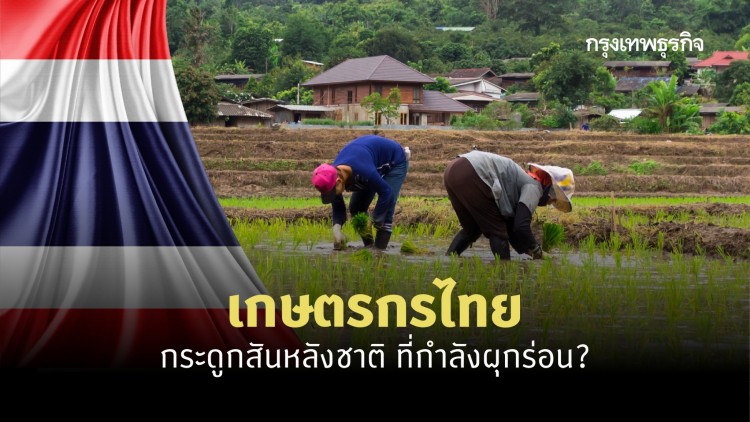 ‘เกษตรกรไทย’ กระดูกสันหลังชาติ ที่กำลังผุกร่อน?